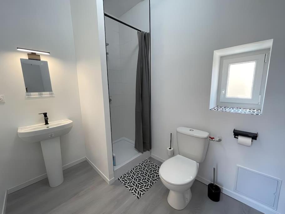 Studio B2 20M2 Cosy 5Min A Pied Des Gares Roanne Ngoại thất bức ảnh